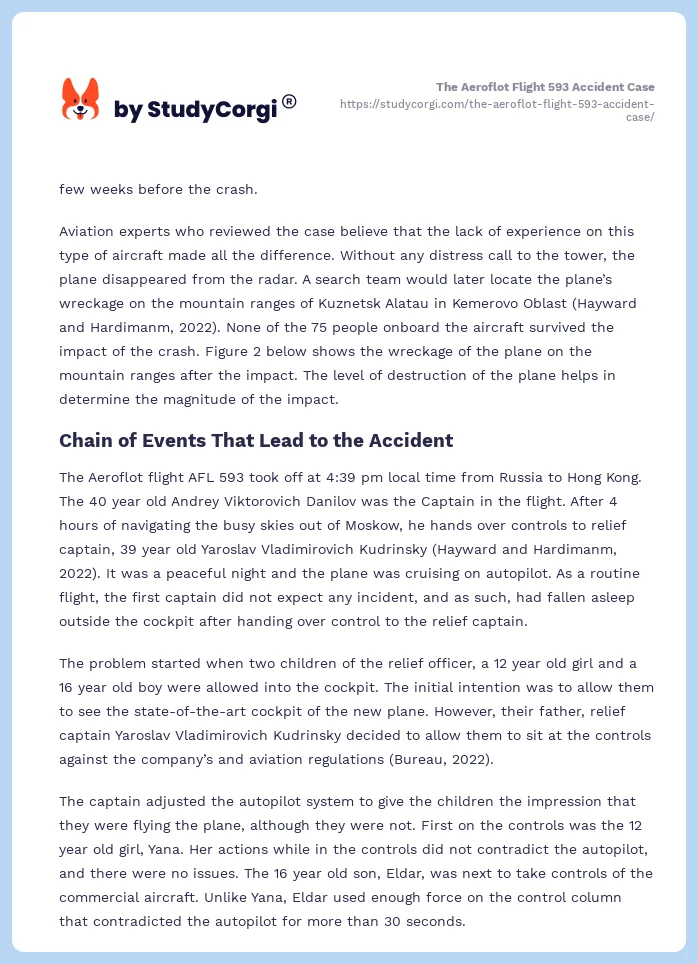 The Aeroflot Flight 593 Accident Case. Page 2
