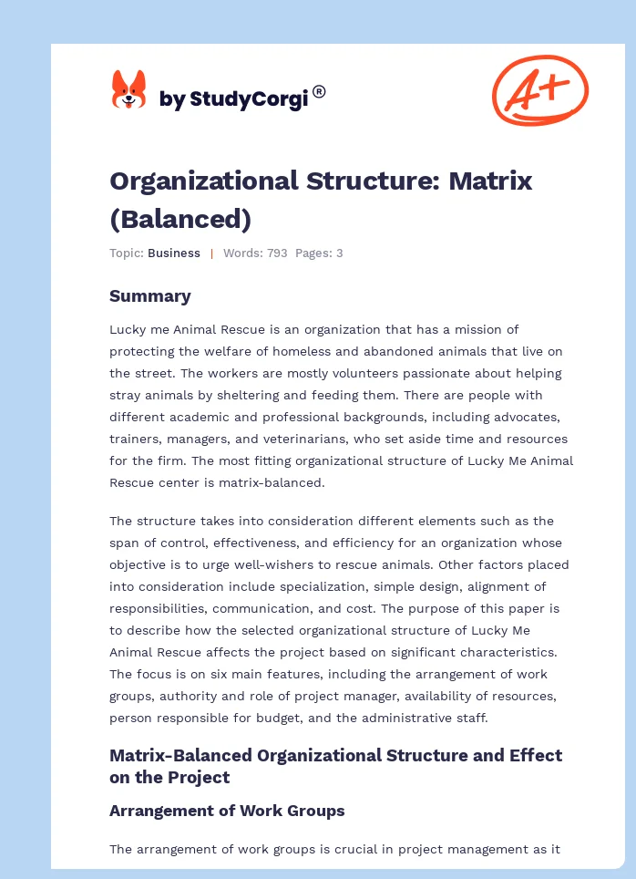 Organizational Structure: Matrix (Balanced). Page 1
