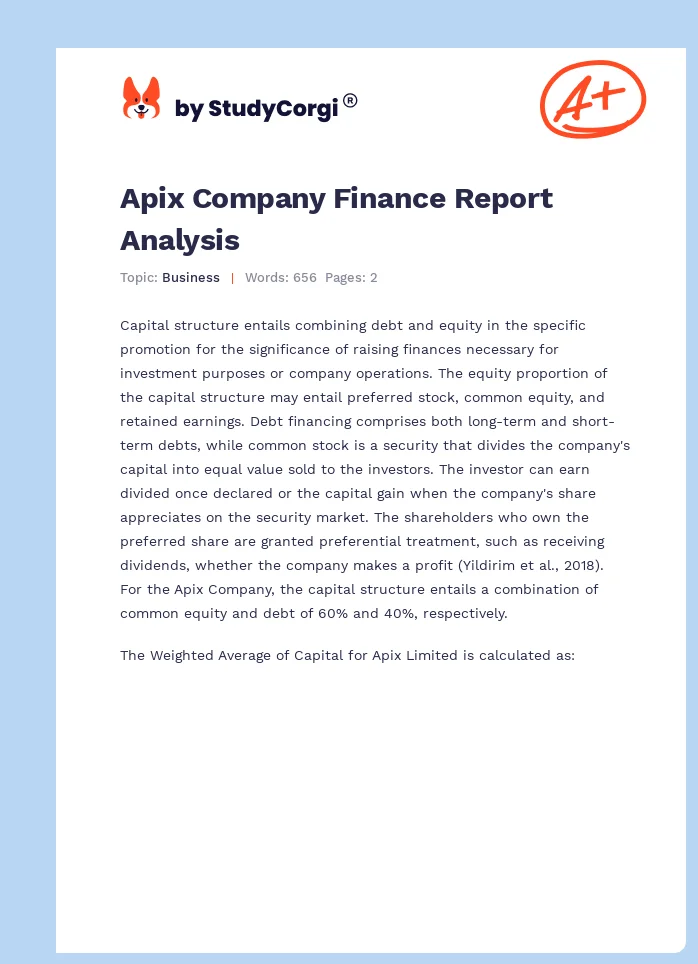 Apix Company Finance Report Analysis. Page 1