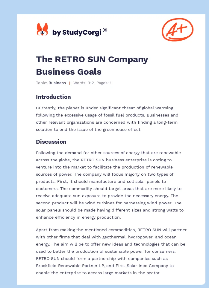 The RETRO SUN Company Business Goals. Page 1