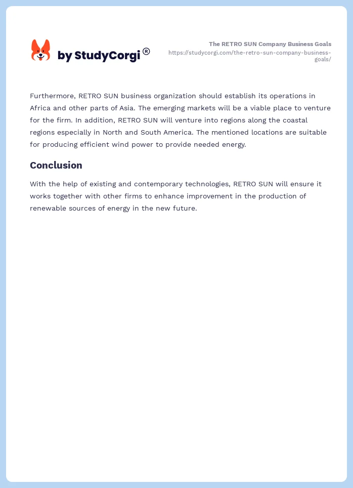 The RETRO SUN Company Business Goals. Page 2