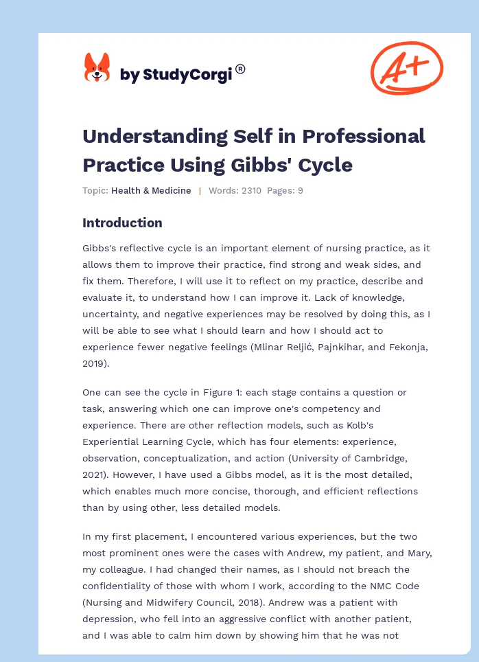 Understanding Self in Professional Practice Using Gibbs' Cycle. Page 1
