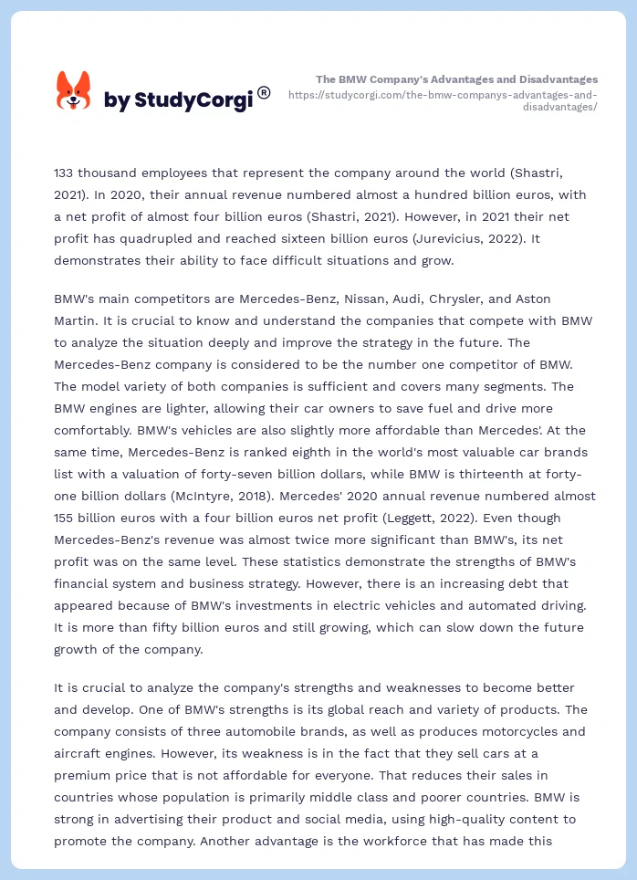 The BMW Company's Advantages and Disadvantages. Page 2