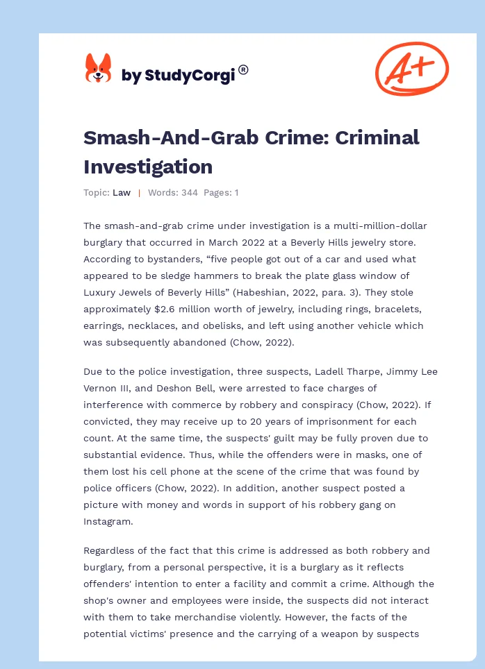 Smash-And-Grab Crime: Criminal Investigation. Page 1