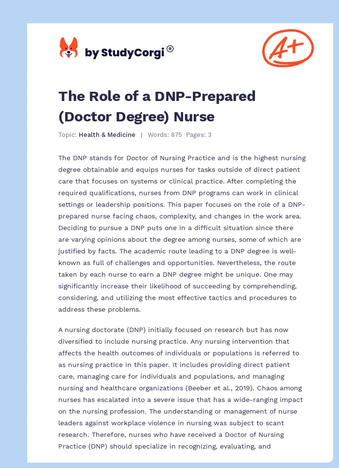 The Role of a DNP-Prepared (Doctor Degree) Nurse. Page 1