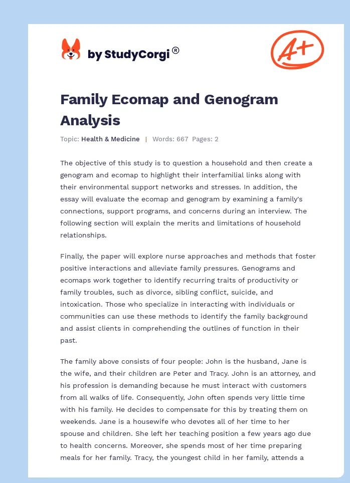 Family Ecomap and Genogram Analysis. Page 1