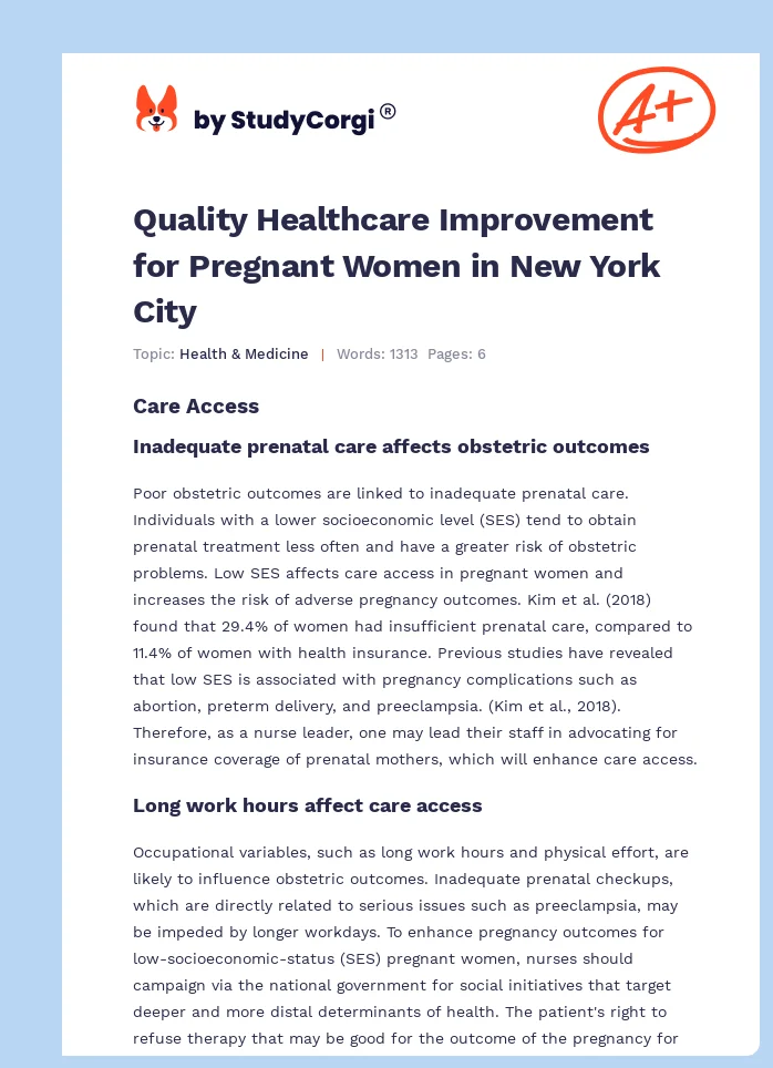 Quality Healthcare Improvement for Pregnant Women in New York City. Page 1
