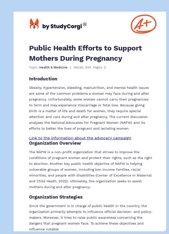 Public Health Efforts to Support Mothers During Pregnancy. Page 1