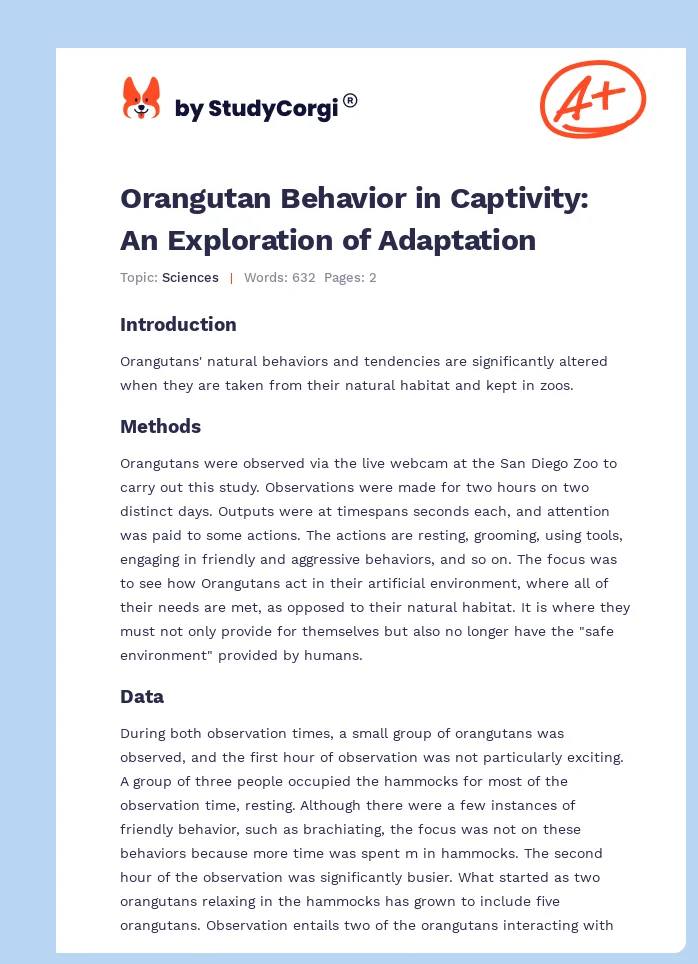 Orangutan Behavior in Captivity: An Exploration of Adaptation. Page 1