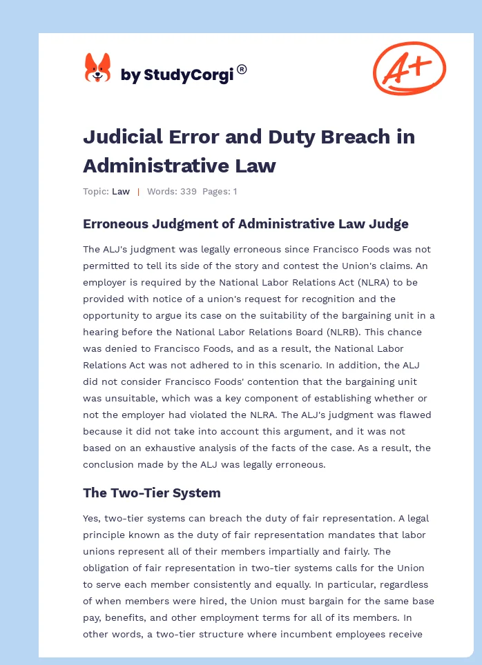 Judicial Error and Duty Breach in Administrative Law. Page 1