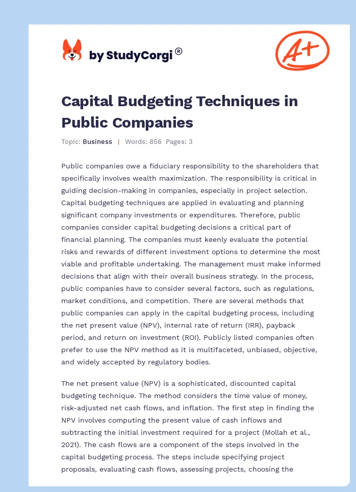 Capital Budgeting Techniques in Public Companies. Page 1