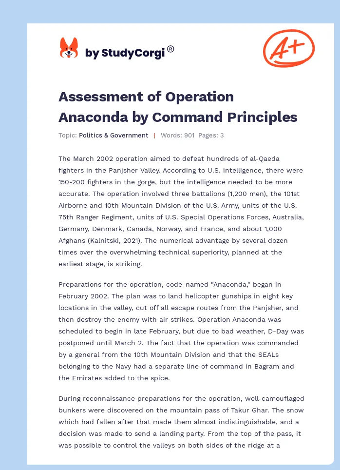 Assessment of Operation Anaconda by Command Principles. Page 1