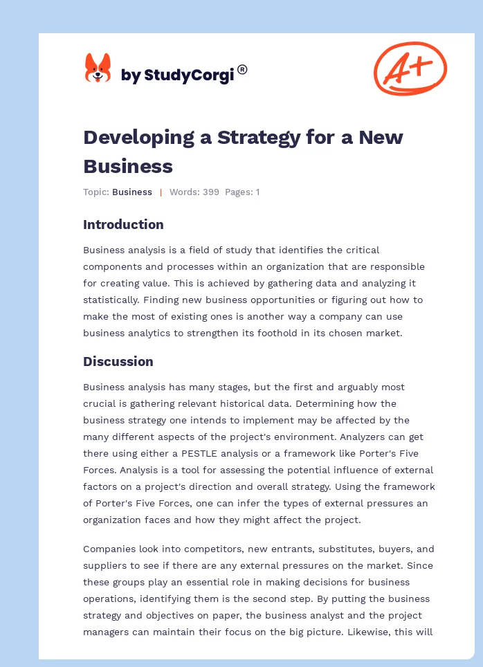 Developing a Strategy for a New Business. Page 1