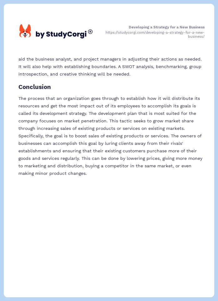 Developing a Strategy for a New Business. Page 2