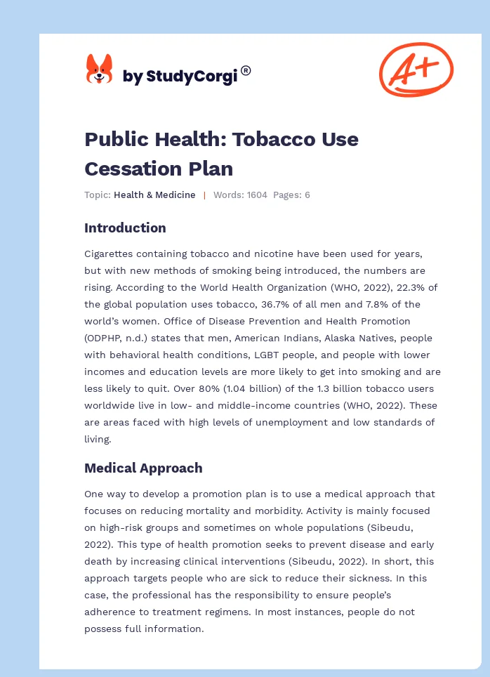 Public Health: Tobacco Use Cessation Plan. Page 1