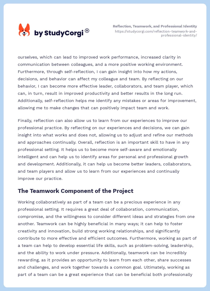 Reflection, Teamwork, and Professional Identity. Page 2