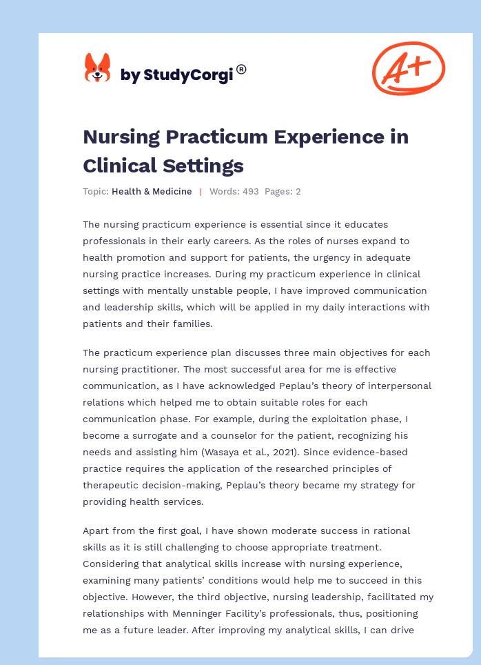 Nursing Practicum Experience in Clinical Settings. Page 1