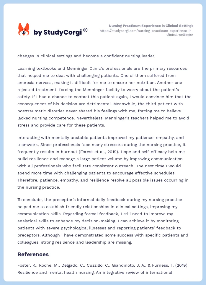 Nursing Practicum Experience in Clinical Settings. Page 2