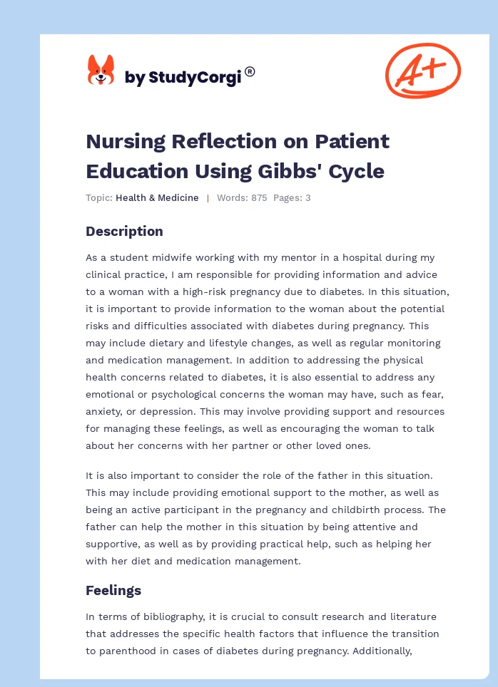 Nursing Reflection on Patient Education Using Gibbs' Cycle. Page 1