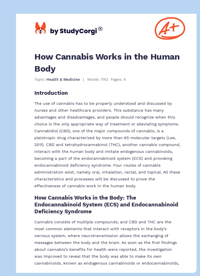 How Cannabis Works in the Human Body. Page 1