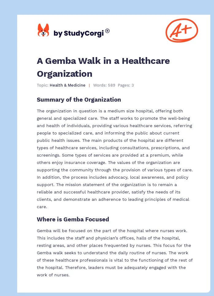A Gemba Walk in a Healthcare Organization. Page 1