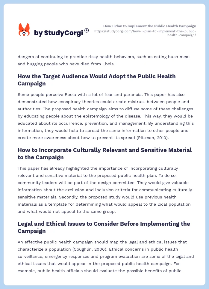 How I Plan to Implement the Public Health Campaign. Page 2