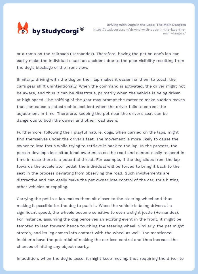 Driving with Dogs in the Laps: The Main Dangers. Page 2