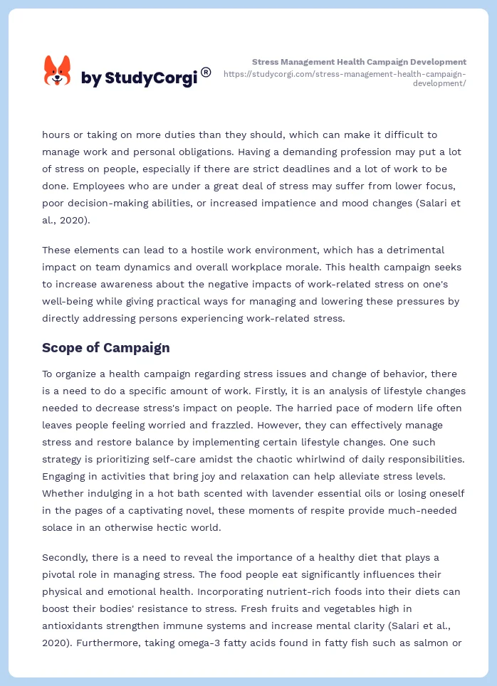 Stress Management Health Campaign Development. Page 2