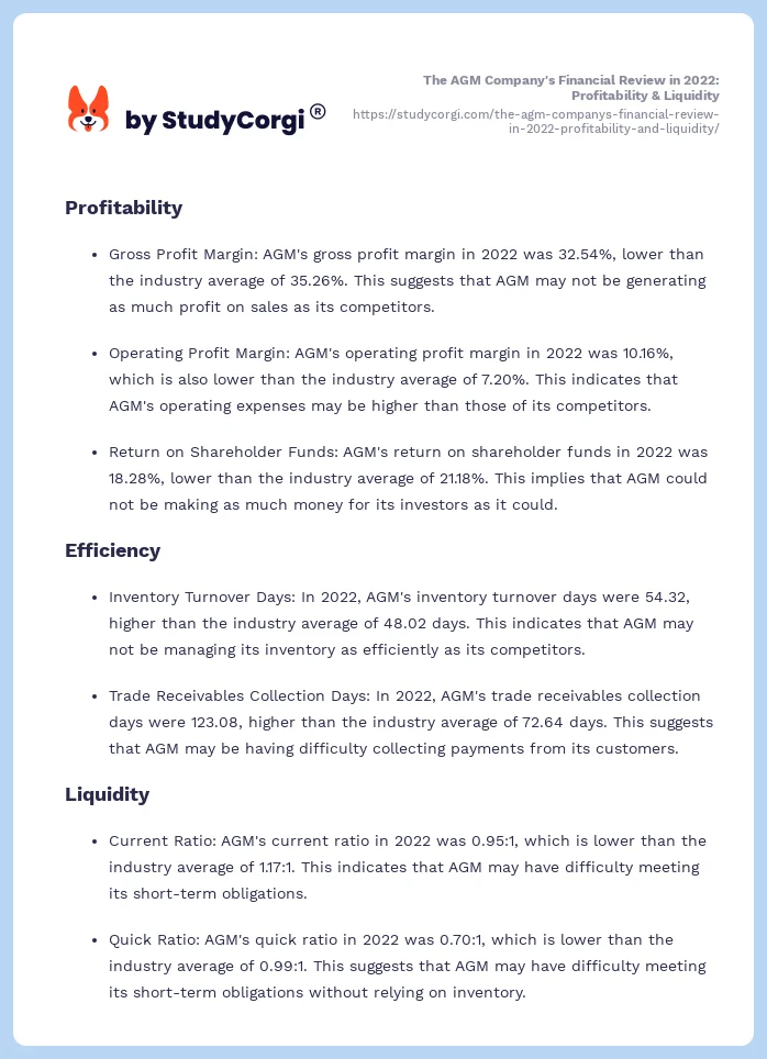 The AGM Company's Financial Review in 2022: Profitability & Liquidity. Page 2