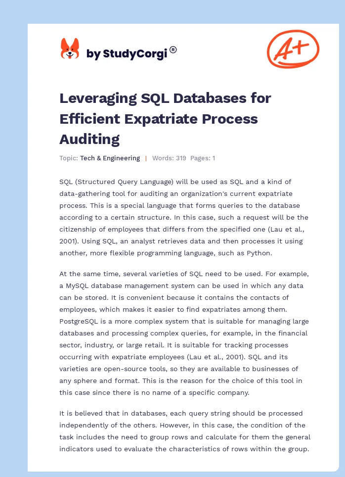 Leveraging SQL Databases for Efficient Expatriate Process Auditing. Page 1