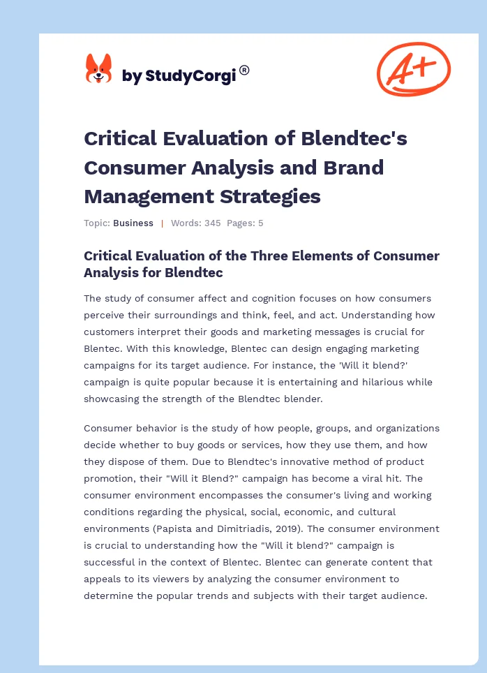 Critical Evaluation of Blendtec's Consumer Analysis and Brand Management Strategies. Page 1