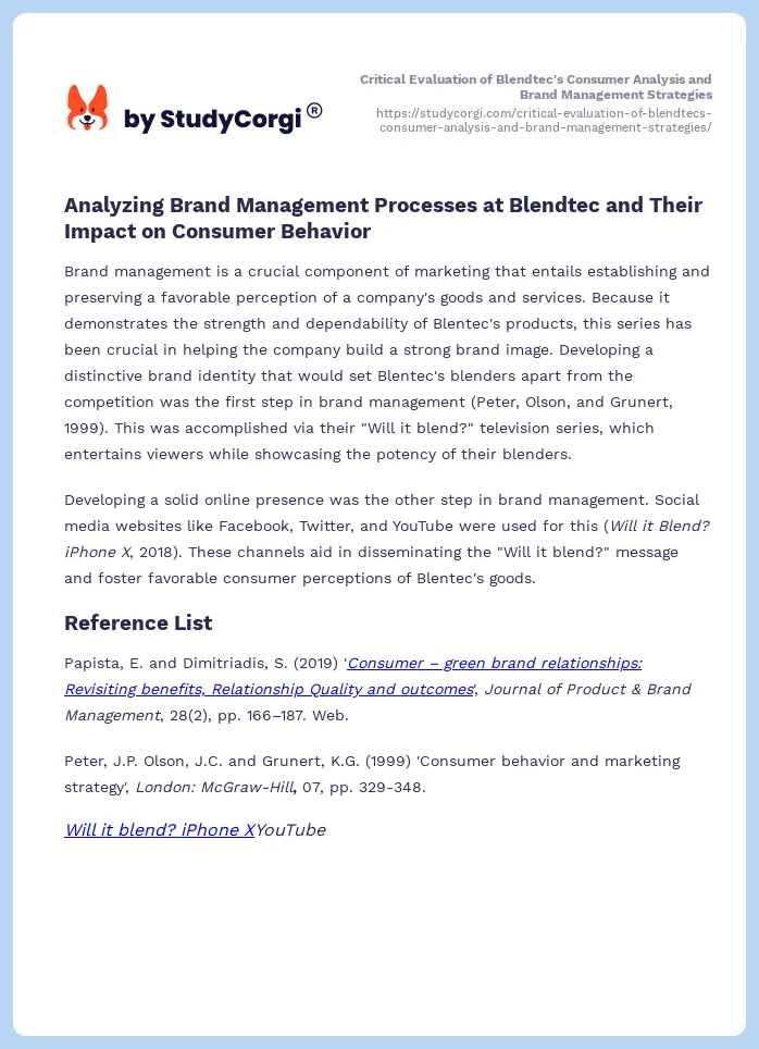 Critical Evaluation of Blendtec's Consumer Analysis and Brand Management Strategies. Page 2