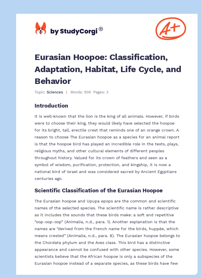 Eurasian Hoopoe: Classification, Adaptation, Habitat, Life Cycle, and Behavior. Page 1