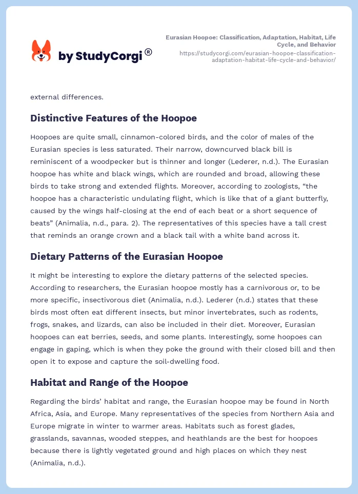 Eurasian Hoopoe: Classification, Adaptation, Habitat, Life Cycle, and Behavior. Page 2