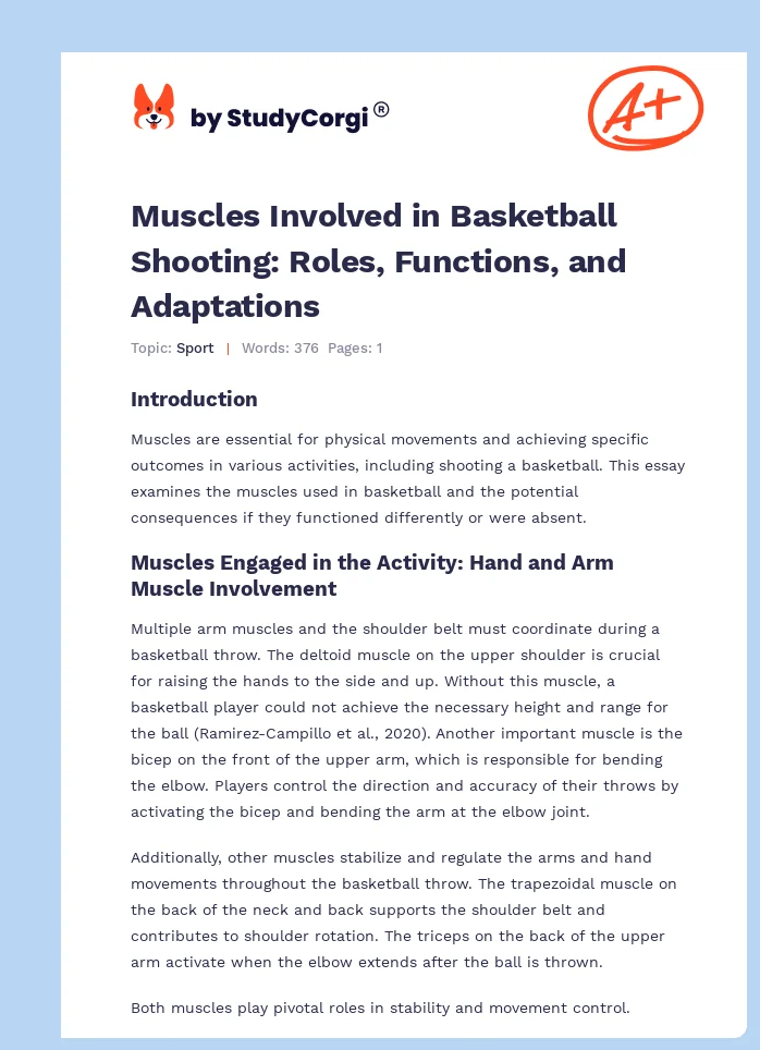 Muscles Involved in Basketball Shooting: Roles, Functions, and Adaptations. Page 1