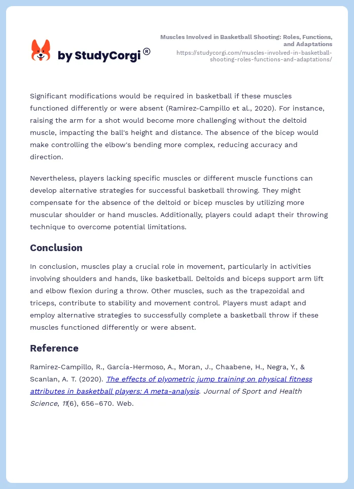 Muscles Involved in Basketball Shooting: Roles, Functions, and Adaptations. Page 2