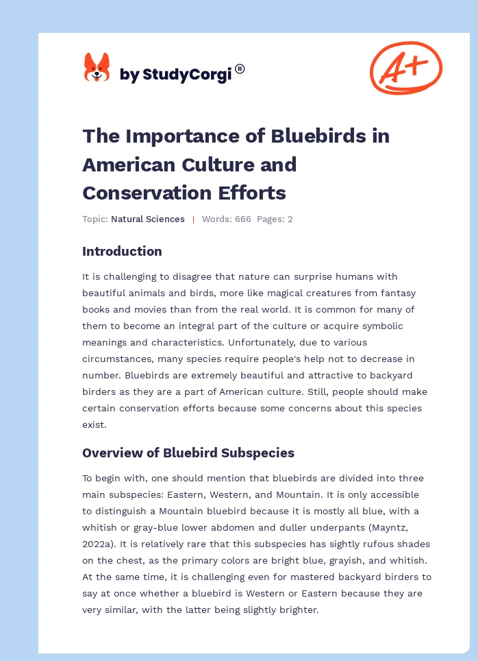 The Importance of Bluebirds in American Culture and Conservation Efforts. Page 1