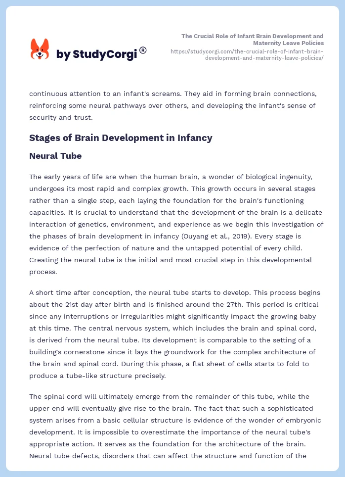 The Crucial Role of Infant Brain Development and Maternity Leave Policies. Page 2