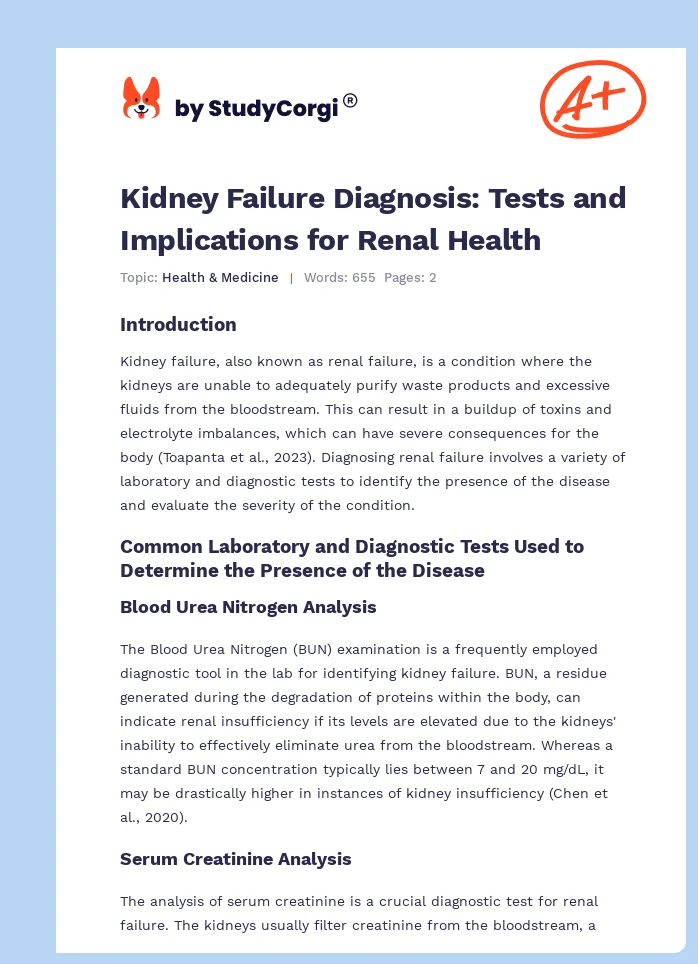 Kidney Failure Diagnosis: Tests and Implications for Renal Health. Page 1