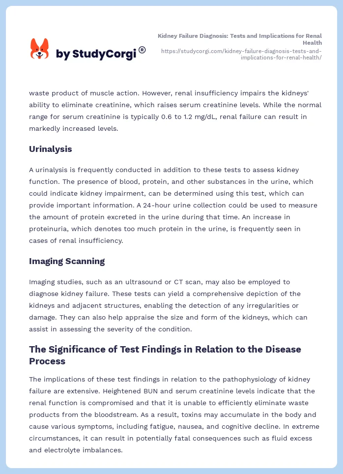 Kidney Failure Diagnosis: Tests and Implications for Renal Health. Page 2