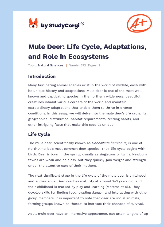 Mule Deer: Life Cycle, Adaptations, and Role in Ecosystems. Page 1