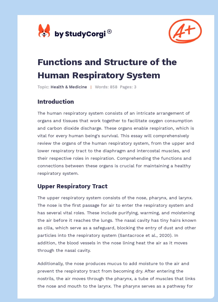 Functions and Structure of the Human Respiratory System. Page 1