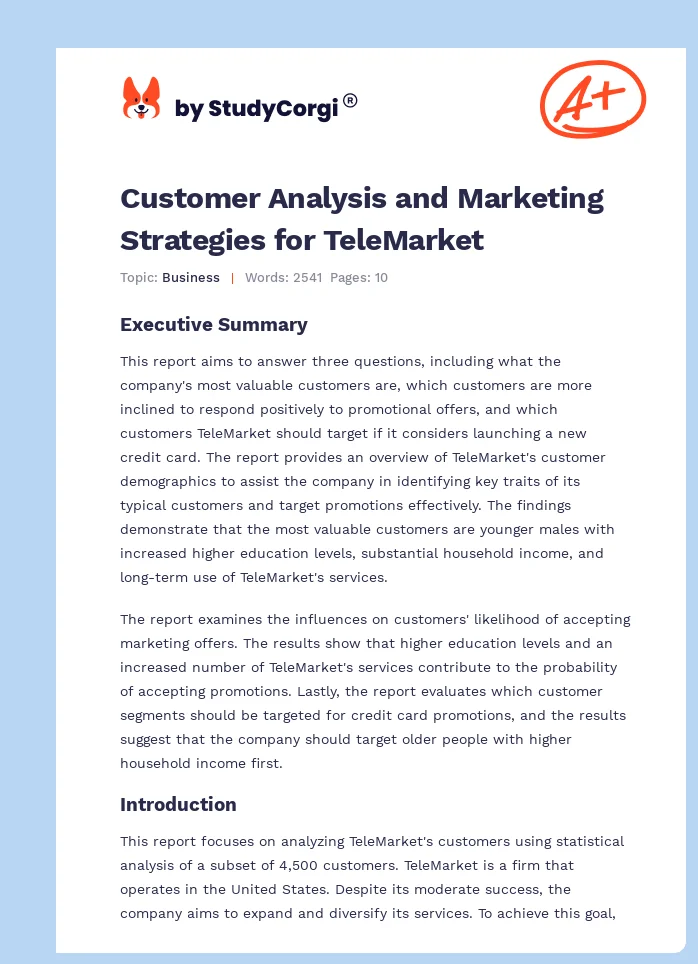 Customer Analysis and Marketing Strategies for TeleMarket. Page 1
