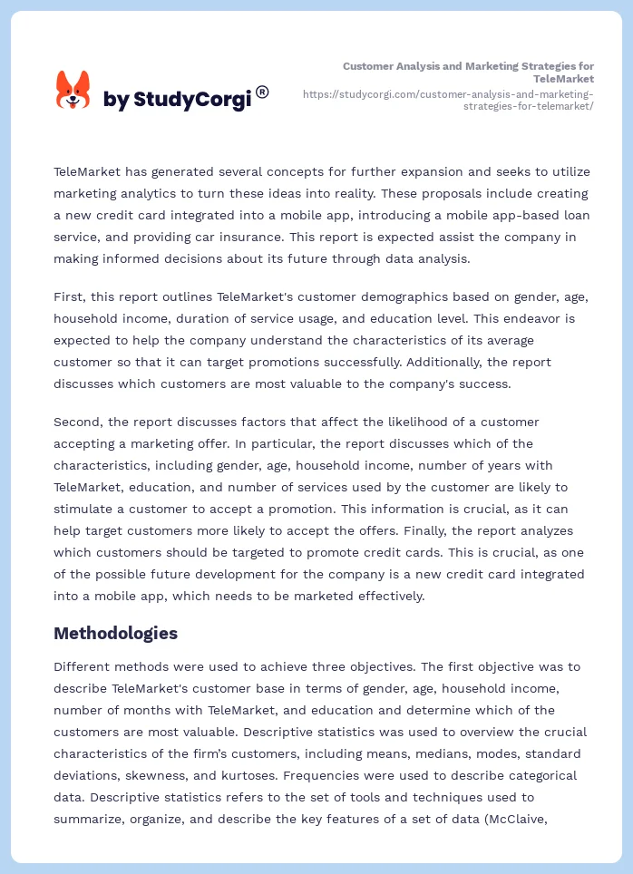 Customer Analysis and Marketing Strategies for TeleMarket. Page 2