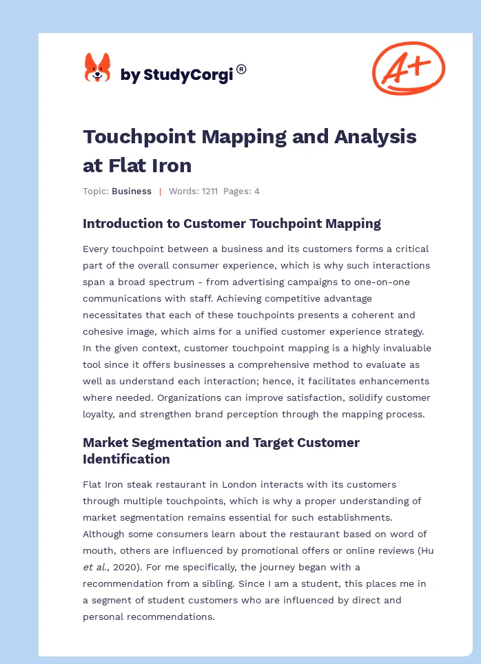 Touchpoint Mapping and Analysis at Flat Iron. Page 1