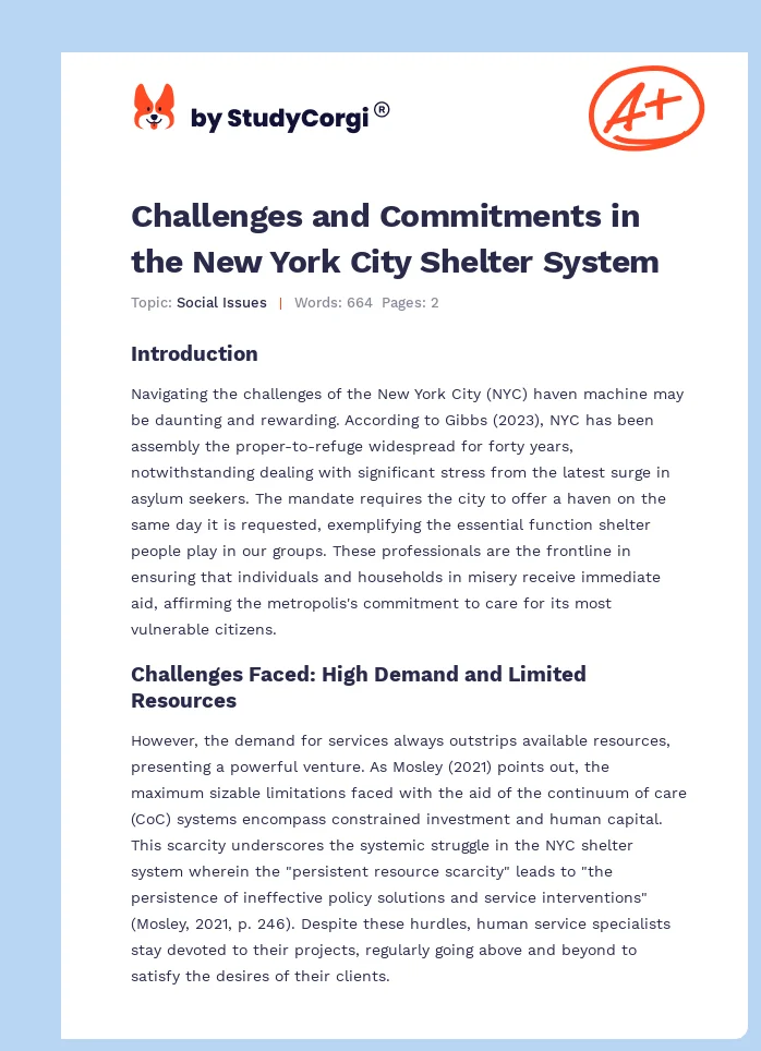 Challenges and Commitments in the New York City Shelter System. Page 1
