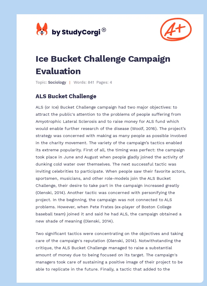 Ice Bucket Challenge Campaign Evaluation. Page 1