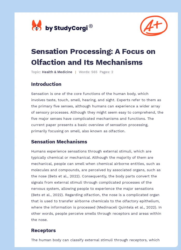 Sensation Processing: A Focus on Olfaction and Its Mechanisms. Page 1