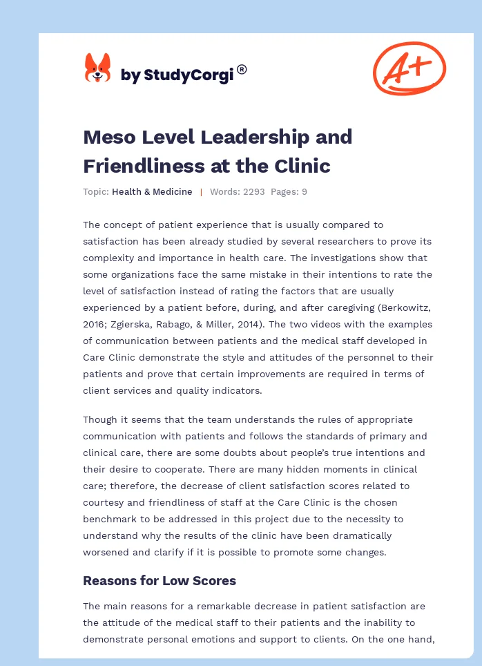Meso Level Leadership and Friendliness at the Clinic. Page 1