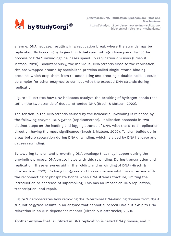 Enzymes in DNA Replication: Biochemical Roles and Mechanisms. Page 2